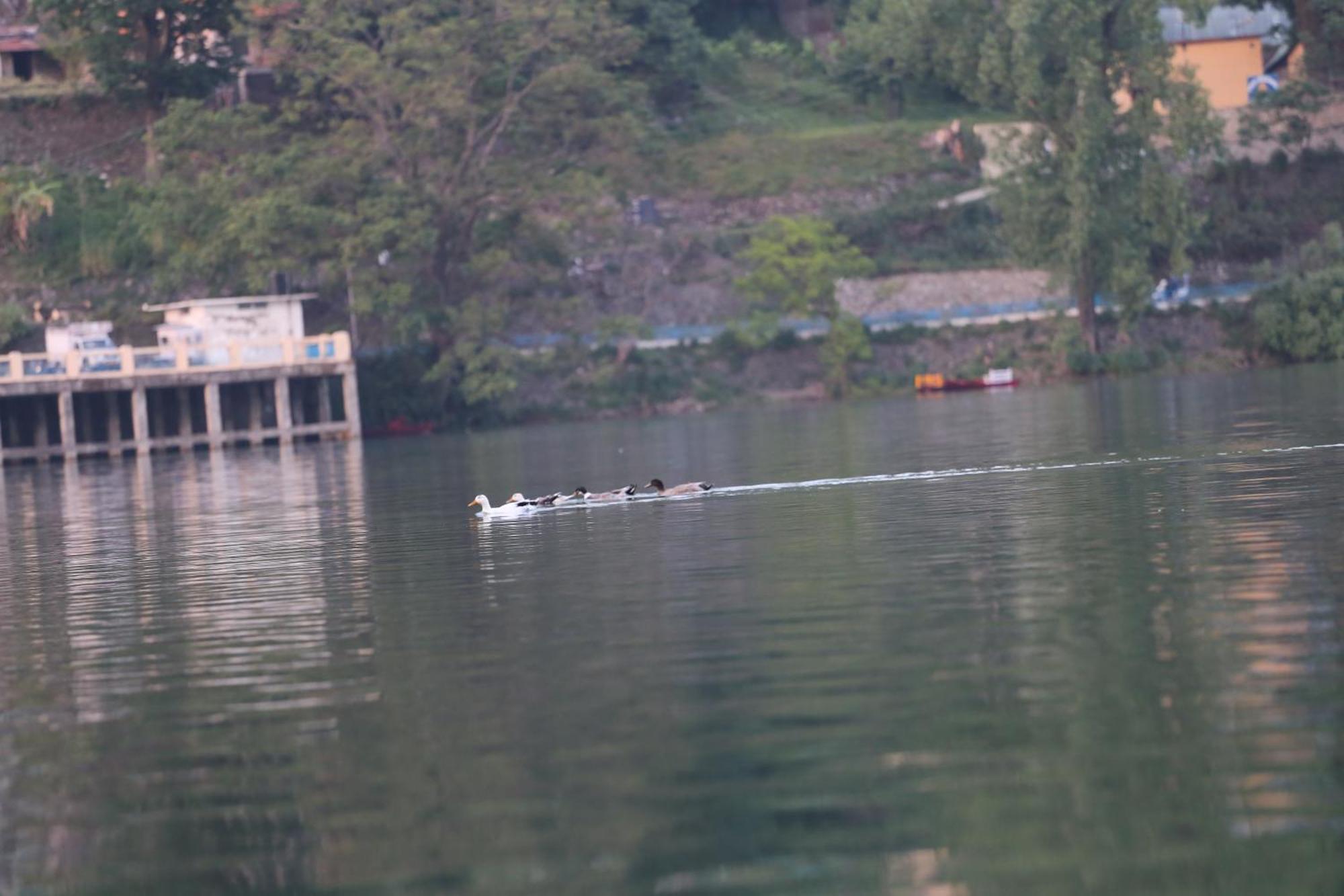 Royal Rosette Lake View Bhimtal Nainital Exterior photo