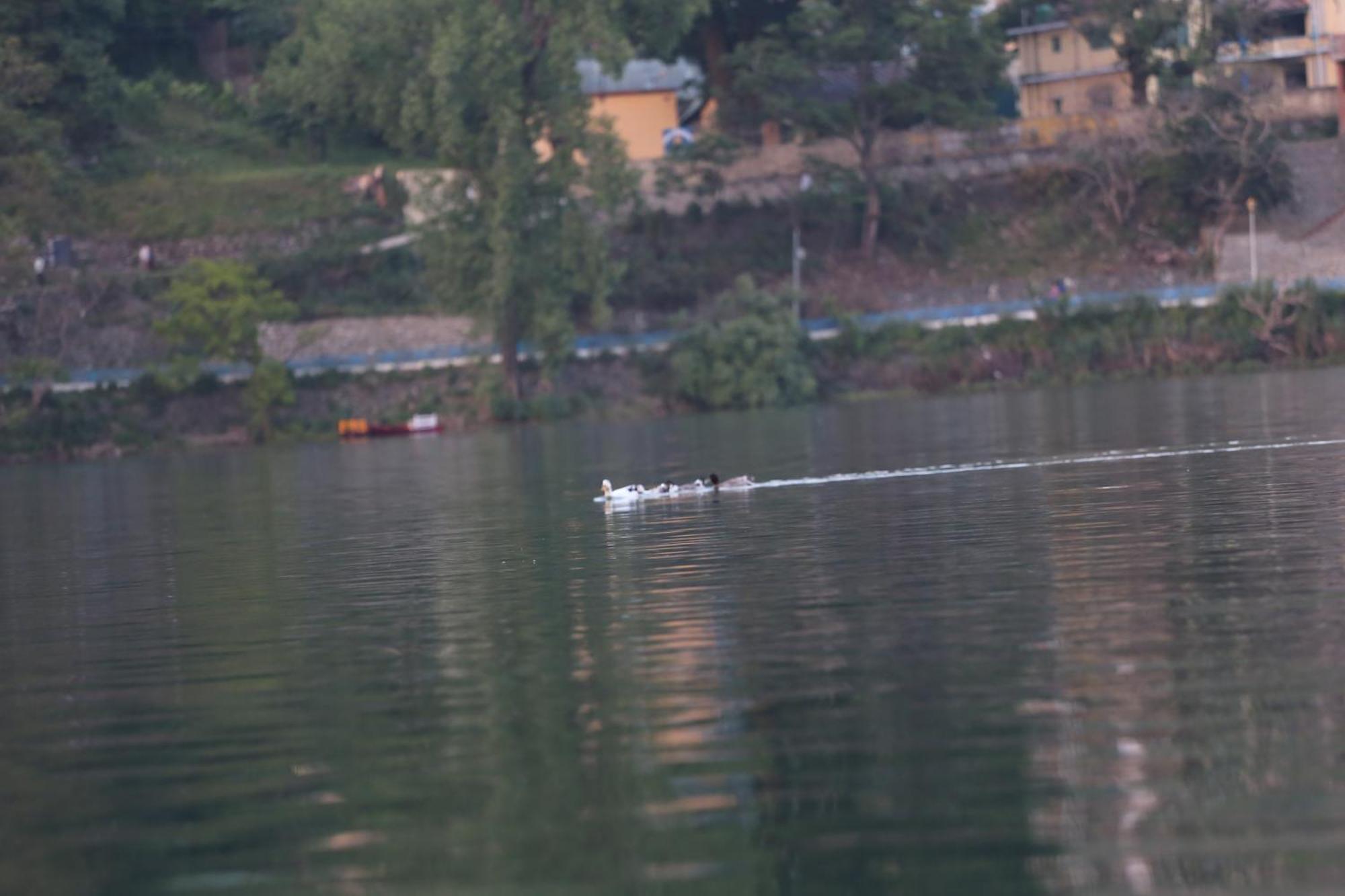 Royal Rosette Lake View Bhimtal Nainital Exterior photo